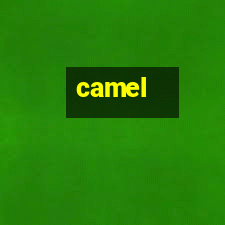 Screenshot of Camel 3.0